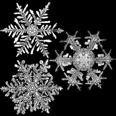 The Snowflake Man - Wilson Bentley e la magia dei fiocchi di neve.