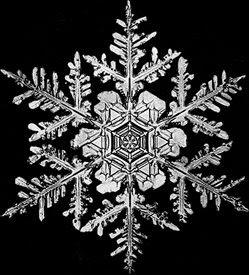 The Snowflake Man - Wilson Bentley e la magia dei fiocchi di neve.