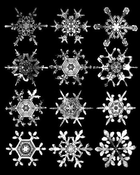 The Snowflake Man - Wilson Bentley e la magia dei fiocchi di neve.