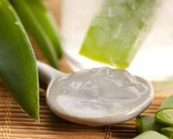 Gel di aloe vera puro