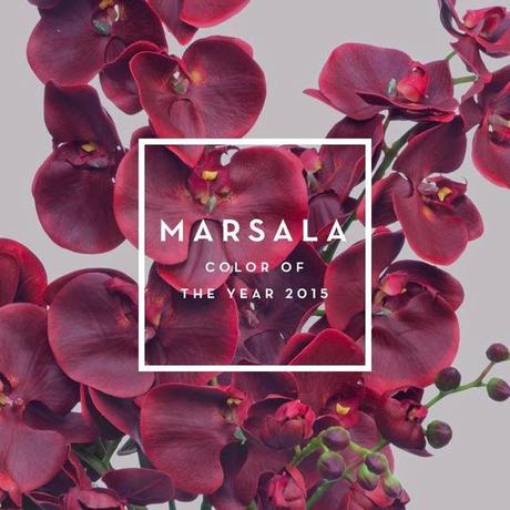 Pantone e il colore dell'anno 2015: MARSALA