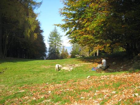 Rifugio Alpe Bovis