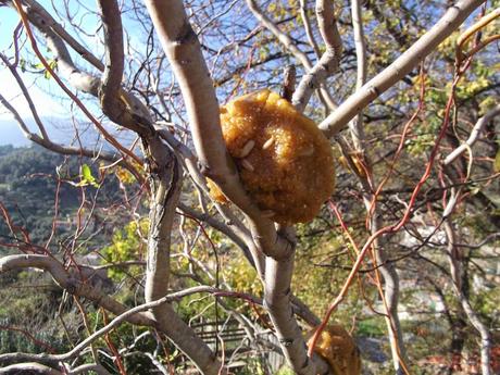 Aiutiamo gli uccelli selvatici a superare l'inverno