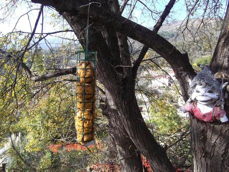 Aiutiamo gli uccelli selvatici a superare l'inverno