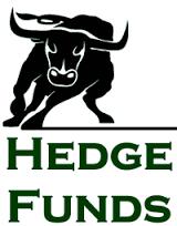 Cosa sono gli hedge funds. Guida alle caratteristiche degli hedge funds