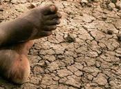 Terre pascoli danneggiati Africa dalle modalità d'uso piccoli contadini