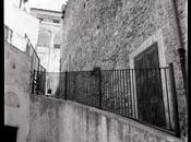 Suggestioni fotografiche giapponese sessantenne spasso Gargano