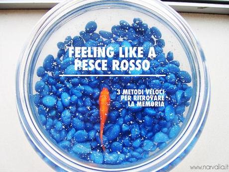 Feeling like a pesce rosso - 3 metodi per ritrovare la memoria