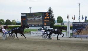 ippica - gran premio città di torino