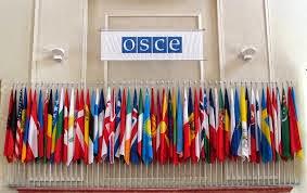 BELGRADO ASSUME LA PRESIDENZA DELL'OSCE, MA NON TUTTI SONO ENTUSIASTI