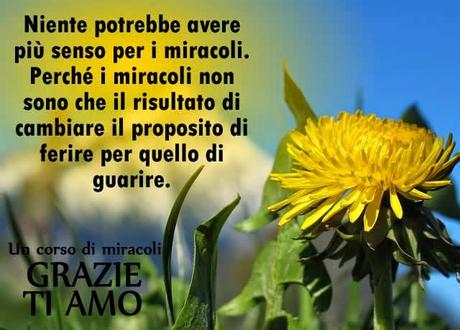 I miracoli non sono che il risultato di cambiare il proposito di ferire per quello di guarire.