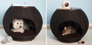 Igloo Pet Bed - copertina