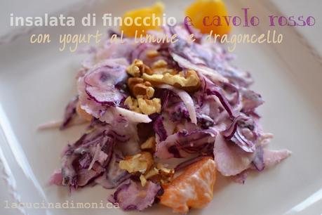 insalata di finocchio, cavolo rosso con yogurt al limone e dragoncello