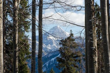 GACCEMAN: Anello della Val Filza da Camporosso