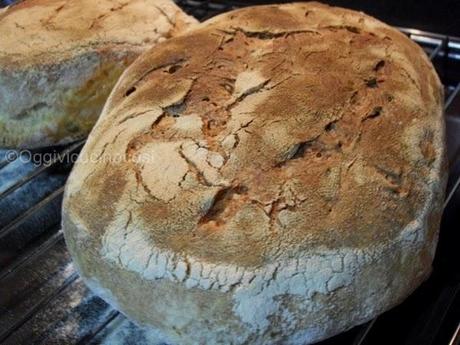 Pane misto con semola rimacinata con lievito madre