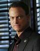 Il protagonisti dello spin-off di “Criminal Minds”? È Gary Sinise!