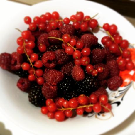 Crostata ai frutti di bosco