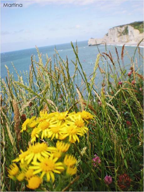 La Normandia: tra la bellezza della natura e la tristezza dell’uomo.