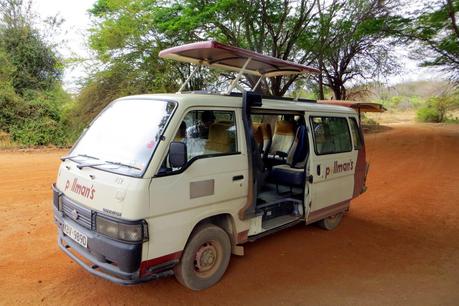 come organizzare un safari in kenya