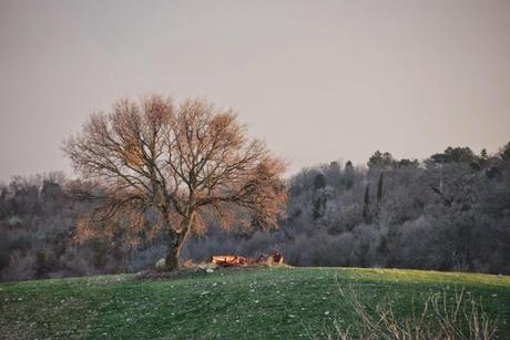 Su e giù per il Monte Amiata e la Val d’Orcia