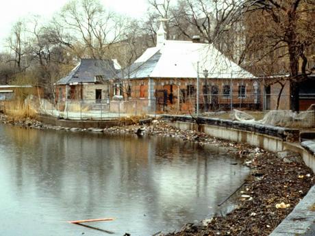 Roma oggi come New York negli Anni Ottanta? Queste foto di Central Park nel 1980 sono ulteriore clamoroso indizio