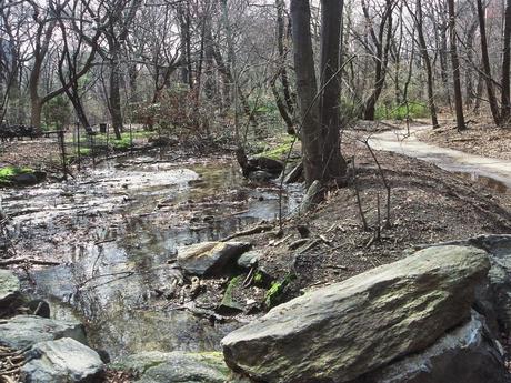 Roma oggi come New York negli Anni Ottanta? Queste foto di Central Park nel 1980 sono ulteriore clamoroso indizio