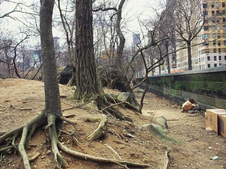 Roma oggi come New York negli Anni Ottanta? Queste foto di Central Park nel 1980 sono ulteriore clamoroso indizio