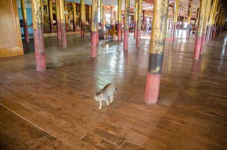 In barca sul lago Inle