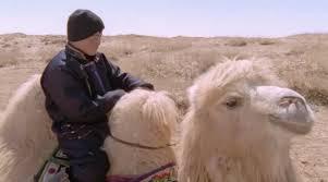 LA STORIA DEL CAMMELLO CHE PIANGE di L. FALOMI e B.DAVAA