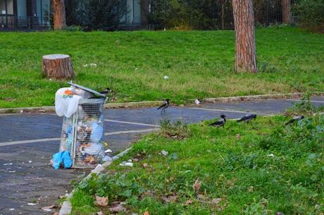 Siringhe, portafogli rubati, immondizie dovunque. Ecco come Alfio Marchini ha pulito il Parco della Resistenza con i suoi volontari