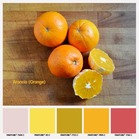 lacaccavella, foodcolors, colors, pantone, arancione, orange, arancia