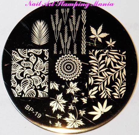 Born Pretty BP Plates Review And Swatches