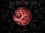 MellowToy Lies