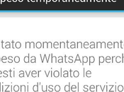 WhatsApp: pioggia utenti utilizzano WhatsApp+