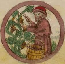 Il vino nella storia, parte IV: il Medioevo.