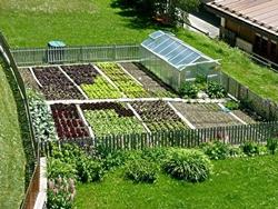 Un tipico orto biologico