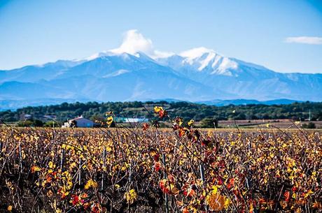 Paesaggio  Perpignan e dintorni