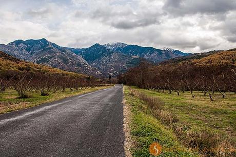 Paesaggio dei dintorni di  Perpignan