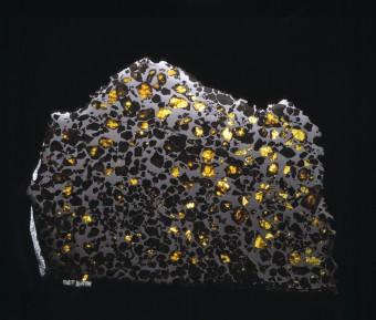 Il meteorite Esquel. Le tracce di magnetismo presenti nei metalli che lo compongono è stato utilizzato per studiare la formazione di corpi planetari 4,6 milardi di anni fa, all'alba del Sistema solare. Crediti: Natural History Museum, Londra