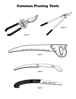 Vari attrezzi per potatura