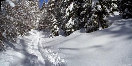 Voglia di montagna