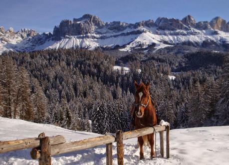 Voglia di montagna