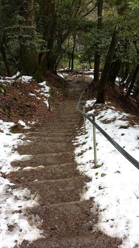 Il sentiero sul monte Kurama (foto di Patrick Colgan, 2015)