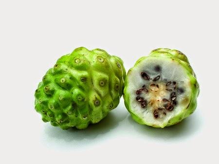 Morinda citrifolia o succo di noni: contro stati gravi di stress