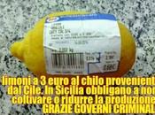 CARI NOSTRI LIMONI compriamo Cile Sicilia marciscono