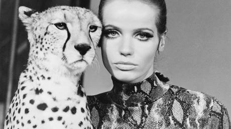 #BeautyIcon: Veruschka