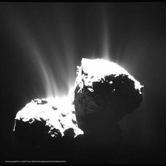 Ripresa da 30 km della cometa 67P ottenuta il 22 novembre 2014. Il nucleo è volutamente sovraesposto per evidenziare i getti dovuti alla sublimazione. Crediti: ESA/Rosetta/MPS for OSIRIS Team MPS/UPD/LAM/IAA/SSO/INTA/UPM/DASP/IDA