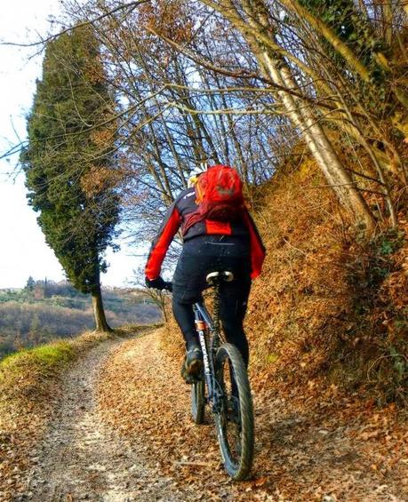 Mountain bike along forgotten tracks (23/1, 2015)