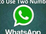 Come usare account WhatsApp telefono dual SIM, scopriamolo insieme