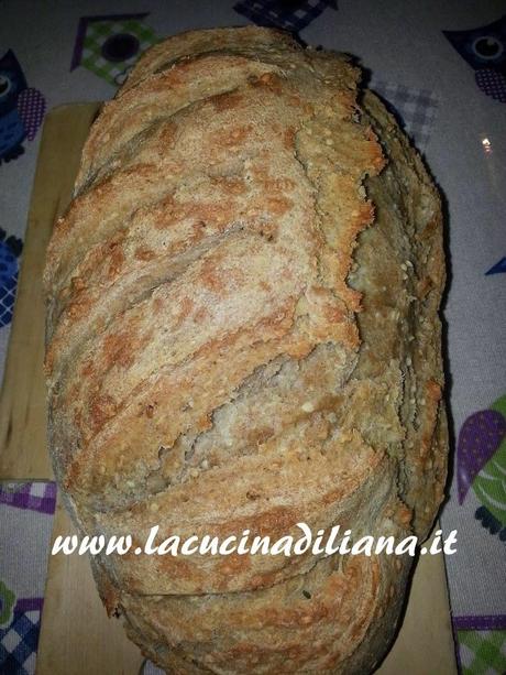 Pane semiintegrale con semi di canapa